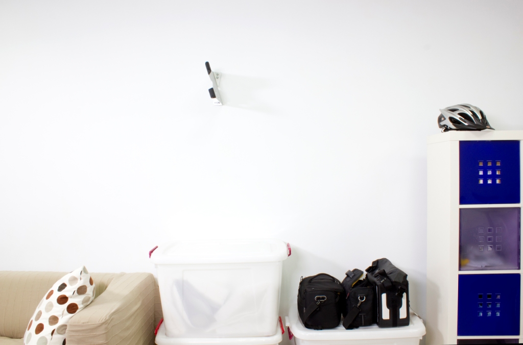 Tern Perch in an apartment