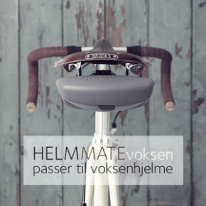 Helmmate