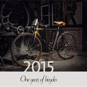 One year of bicycles
