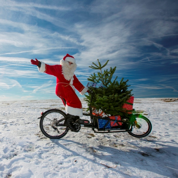 5 Tipps Fur Den Weihnachtsbaum Transport Per Fahrrad It Started With A Fight